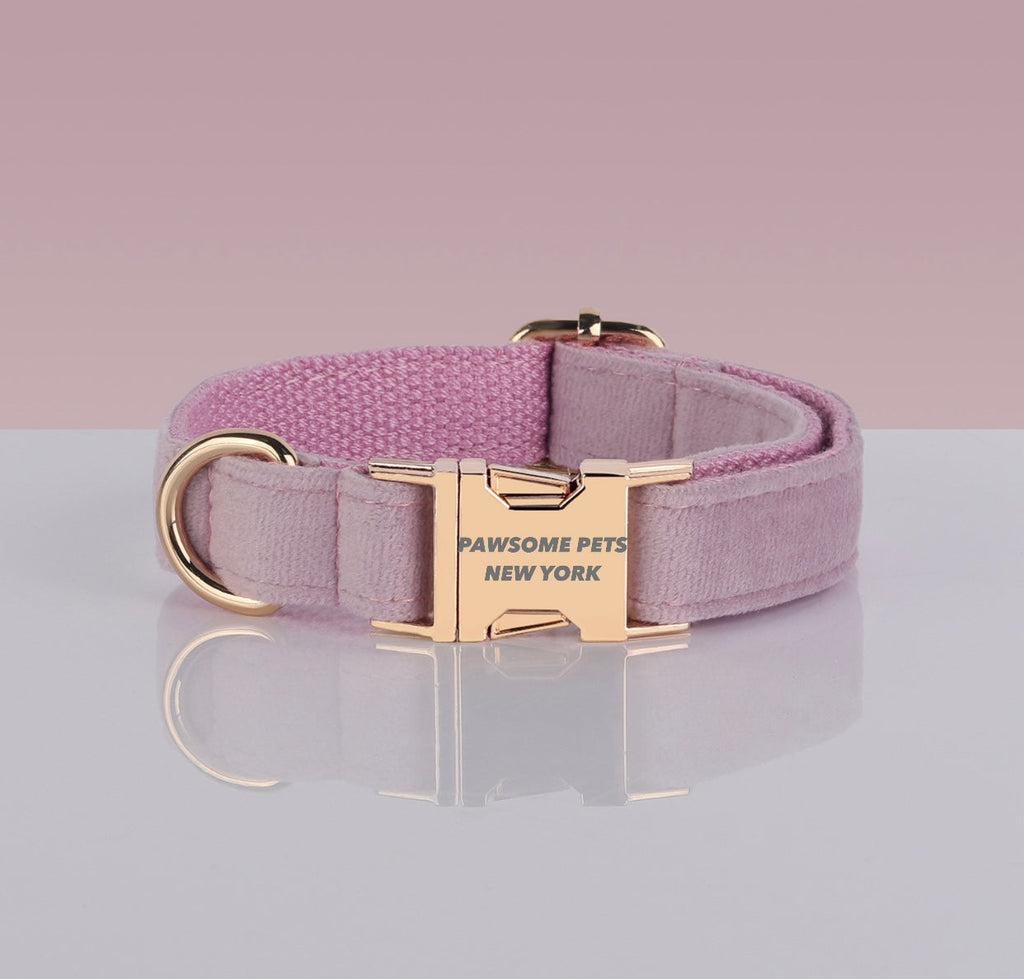 Pawsome Dog Collar – Style #10 | Boost Your Soul