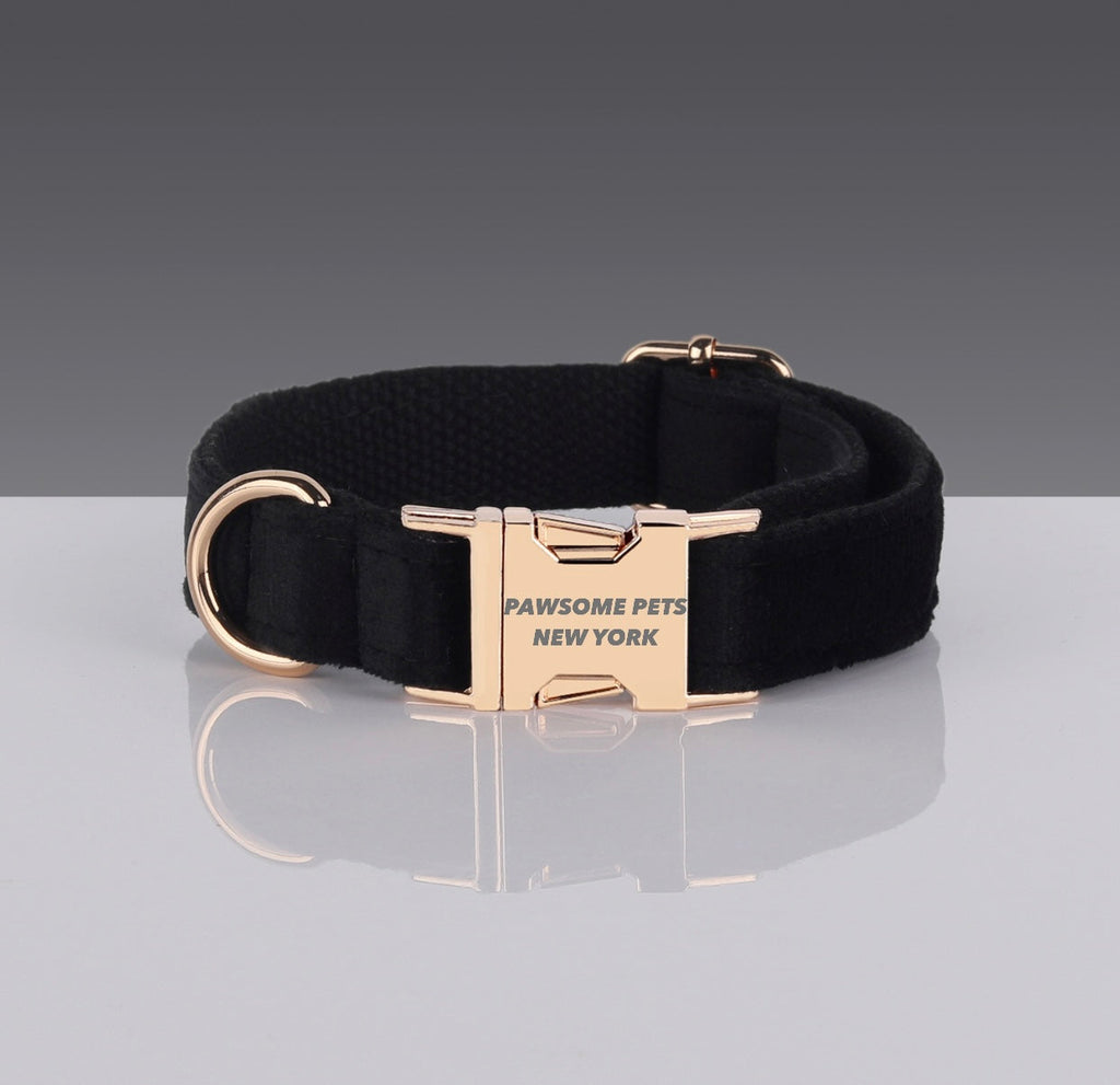 Pawsome Dog Collar – Style #9 | Boost Your Soul
