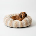 Dachshund Comfort Bed