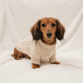 Dachshund Knitted Jumper